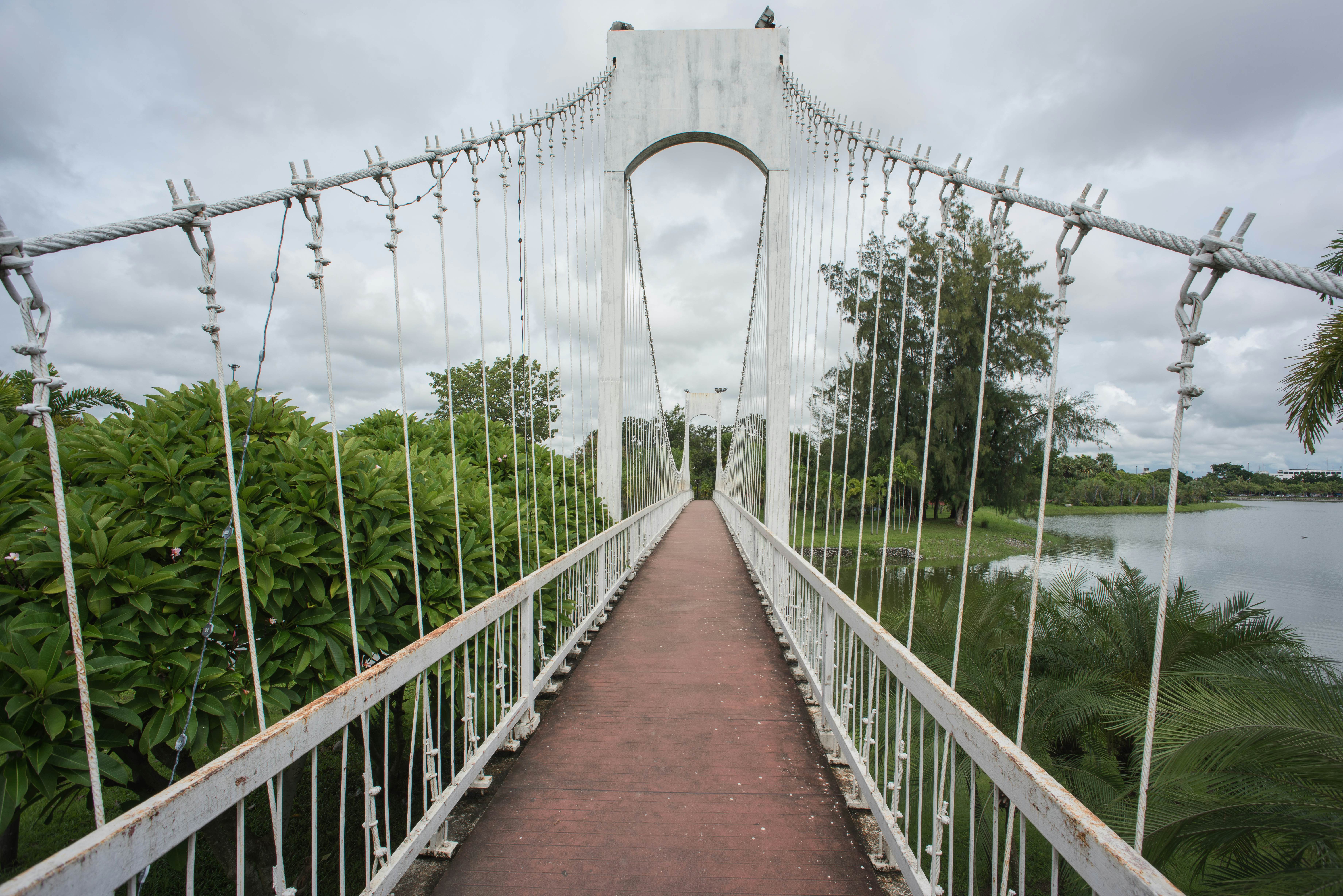 the bridge at Park Nong Prajak Silpakom in udon thani, thailand.